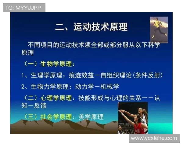 基于科学原理的高效训练方法解析与应用探讨