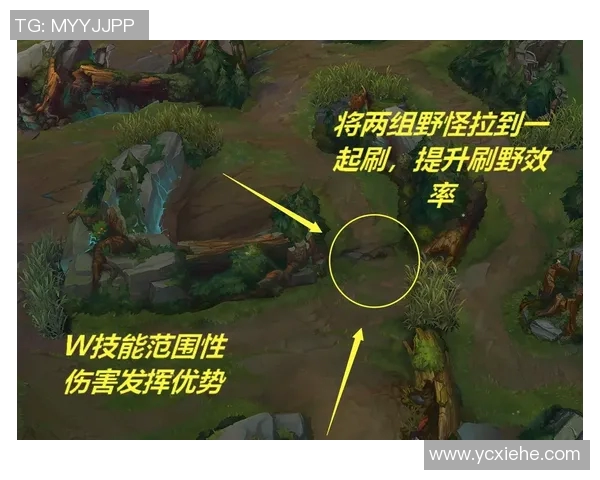 LNG战术解析:如何构建高效阵地战体系以掌控游戏节奏